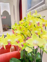 -尊尚柏丽美容SPA