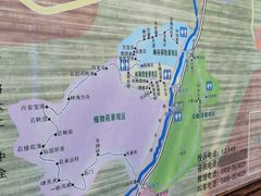 -汤旺河林海奇石景区