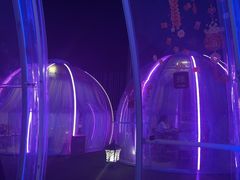 -南门四季铜锅涮肉(大屯·北苑店)