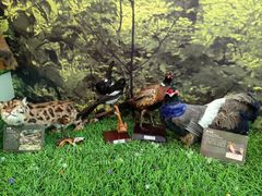 -房山世界地质公园博物馆