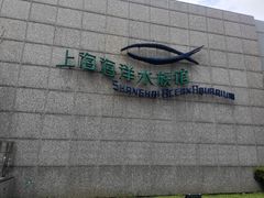 -上海海洋水族馆