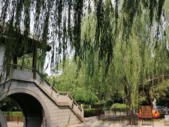 -团结湖公园