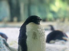 -珠海长隆海洋王国