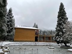 -武陵山森林公园