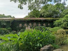 -中国茶叶博物馆(双峰馆区)