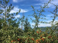 -重庆云阳龙缸景区