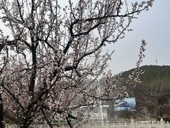 -京东大溶洞景区