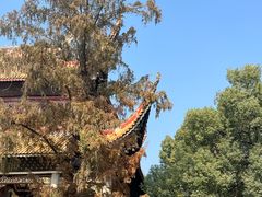 -南岳衡山风景名胜区-南岳大庙