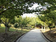 -南京邮电大学(仙林校区)