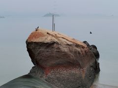 -鼓浪屿内厝澳码头(轮渡站)