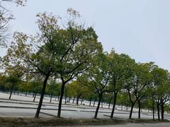 -胜华驾校·小猫学车(银都店)