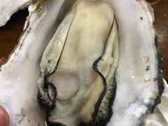 原只蒸生蚝-蚝得喜海鲜(东城店)