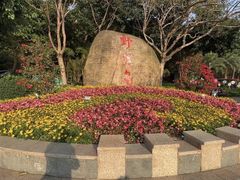 -野狸岛