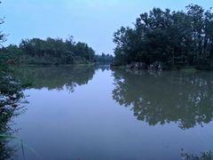 -桤木河湿地公园