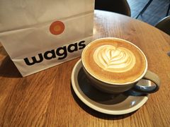 -Wagas沃歌斯(汇智店)