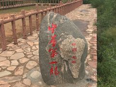 -查海遗址博物馆