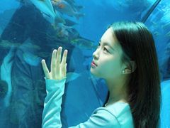 -合肥海洋世界