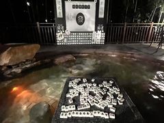 -天目湖涵田半山温泉