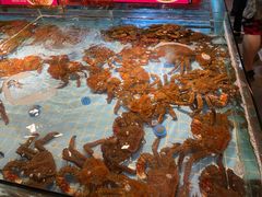 -79号渔船海鲜饭店(宝安店)