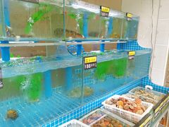 水产区-富临港·蒸汽海鲜·手抓海鲜·炒菜(栈桥店)