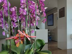 -上海申浩律师事务所