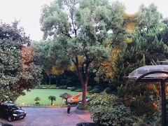 -申粤轩酒楼·三十年粤菜经典(丁香花园店)