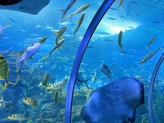-青岛海底世界-水族馆