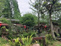 -青城甲(青城山店)