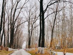 -北京野生动物园