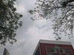 -海淀区人民政府机关幼儿园