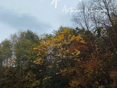 -玉渡山自然风景区