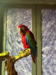 -Zoolung Zoolung动物主题公园(海信广场店)