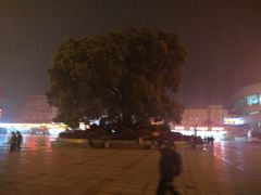 -衡阳站