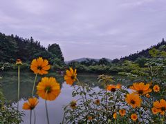 -青龙山国家森林公园