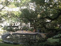 校内小湖-香港大学