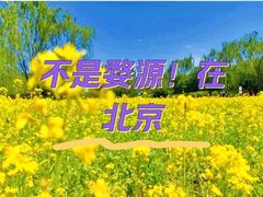 -北坞公园