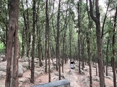 -云龙山