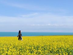 -青海湖国家重点风景名胜区