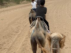 -黄沙古渡原生态旅游区