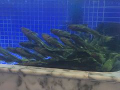 -香山湖渔家大院