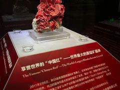 -湖南省地质博物馆