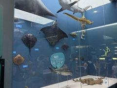 -国家自然博物馆