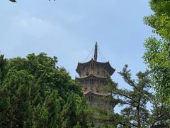 -群众牛肉小点(蚵仔煎)