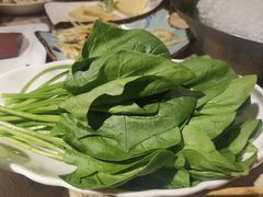 -田园肥牛府(东关街店)