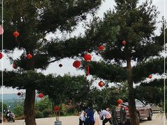 -南宁良凤江国家森林公园