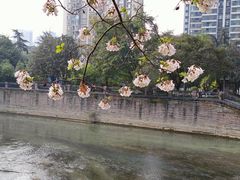 -红星桥(地铁站)