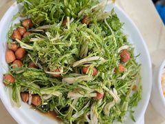 凉拌苦菊-满口香饭店