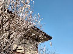-诗经里