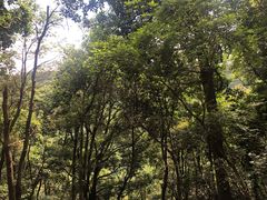 -西湖风景区十里琅珰-五云山