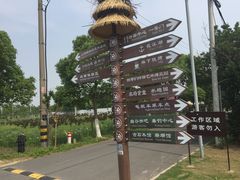 -上海长兴岛郊野公园